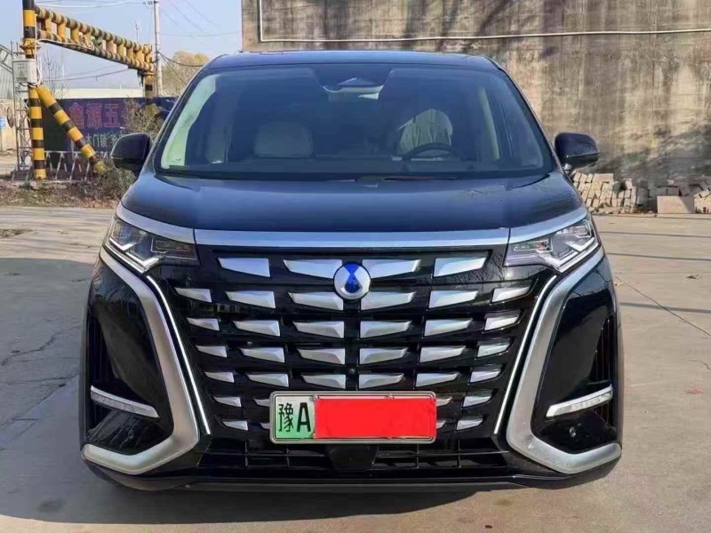 平顶山24年腾势D91