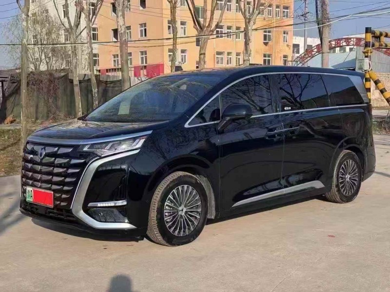 平顶山24年腾势D92