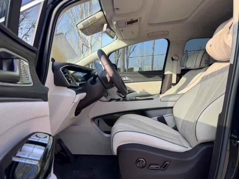 平顶山24年腾势D94