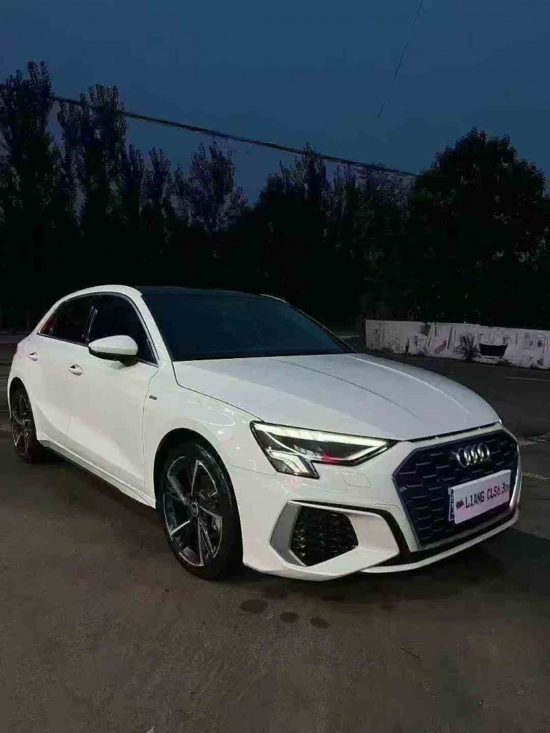 淄博24年奥迪A33