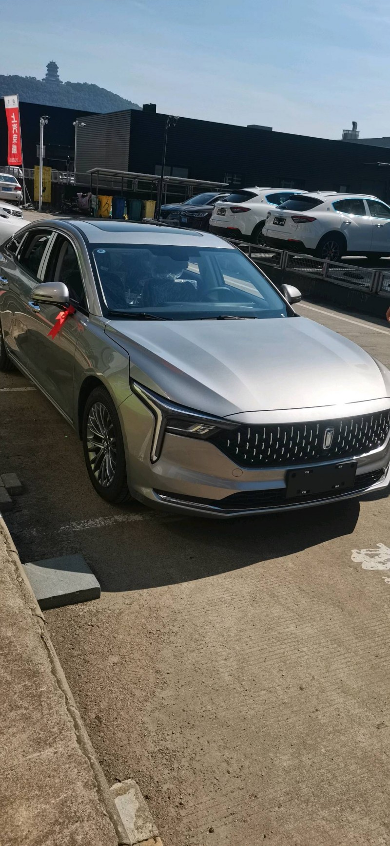 湖州21年奔腾B704