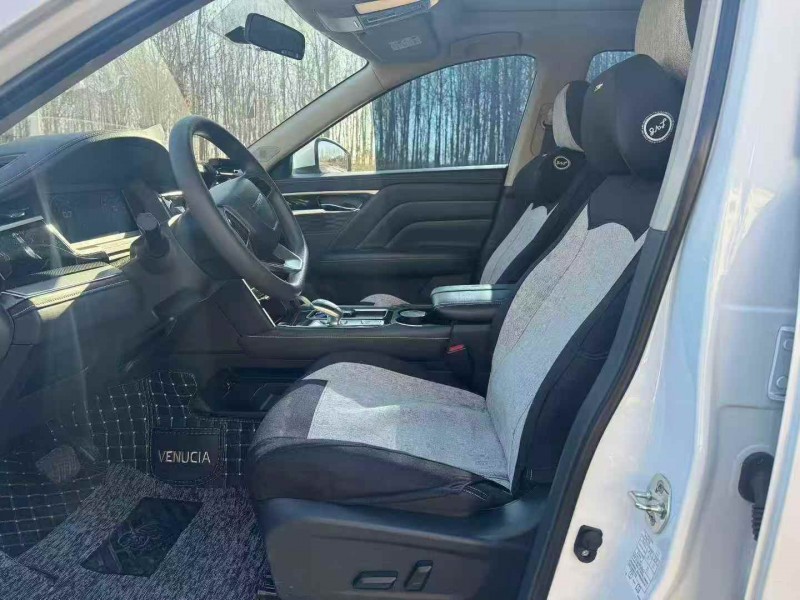 秦皇岛24年启辰大V8