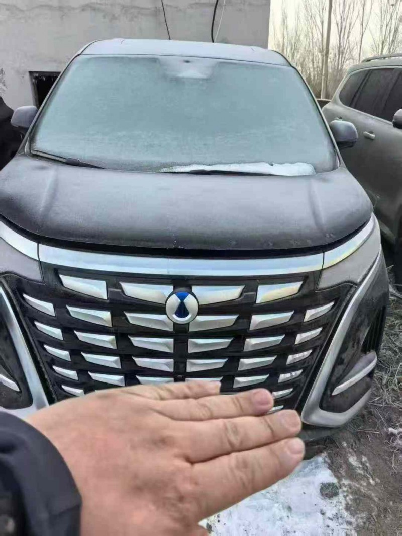 大同24年腾势D91