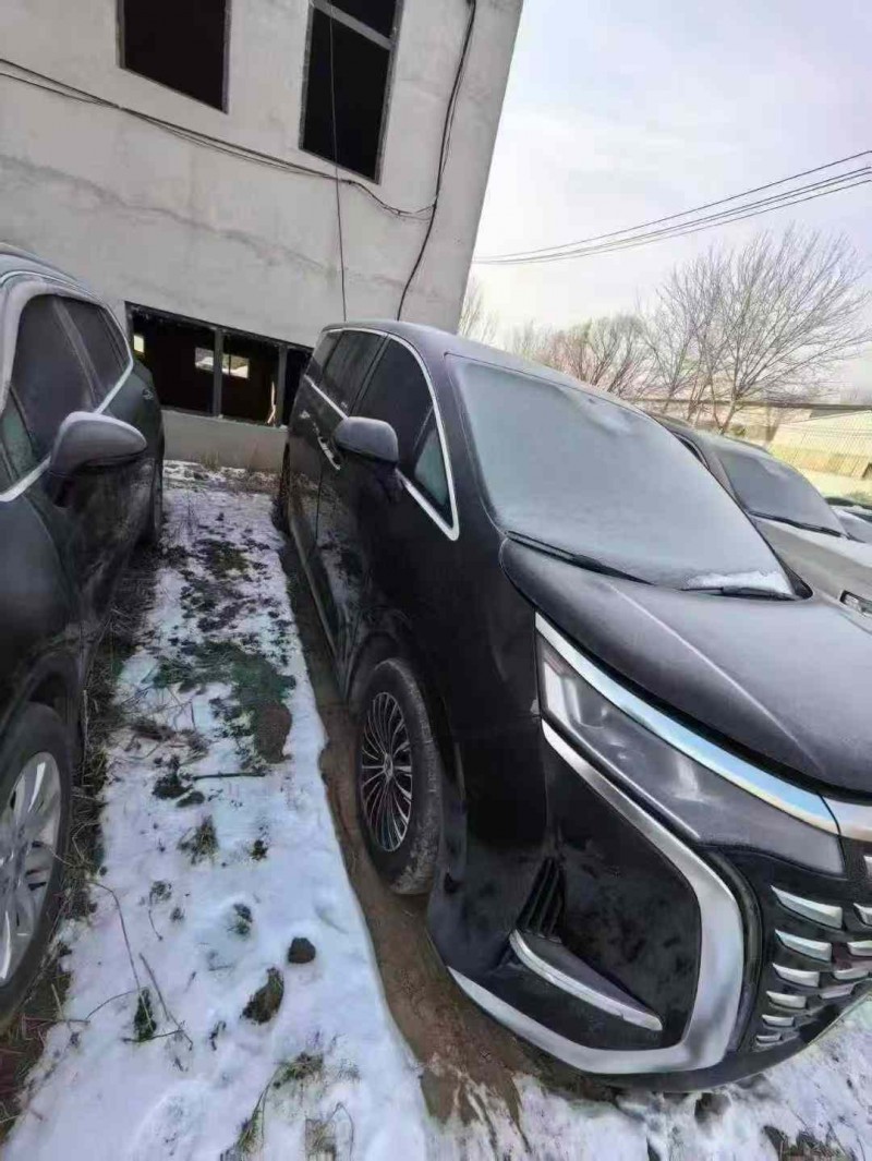 大同24年腾势D92