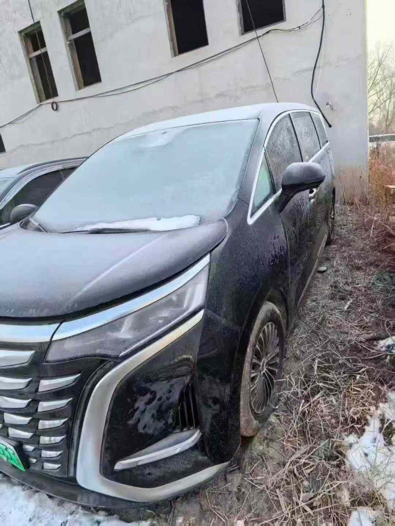 大同24年腾势D93