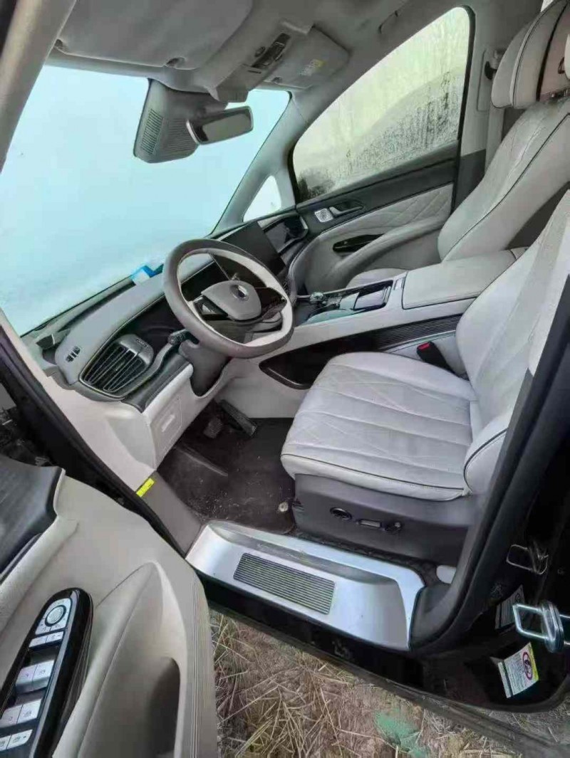 大同24年腾势D94