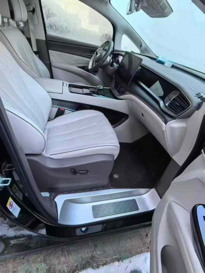 大同24年腾势D95