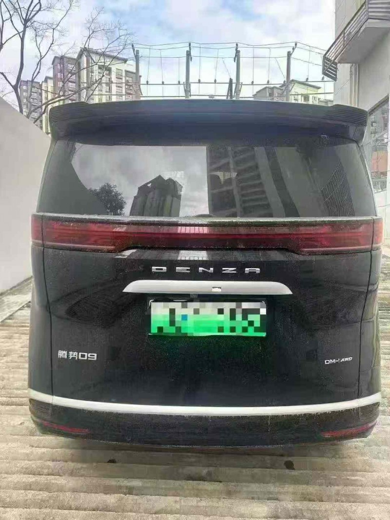 大同24年腾势D96