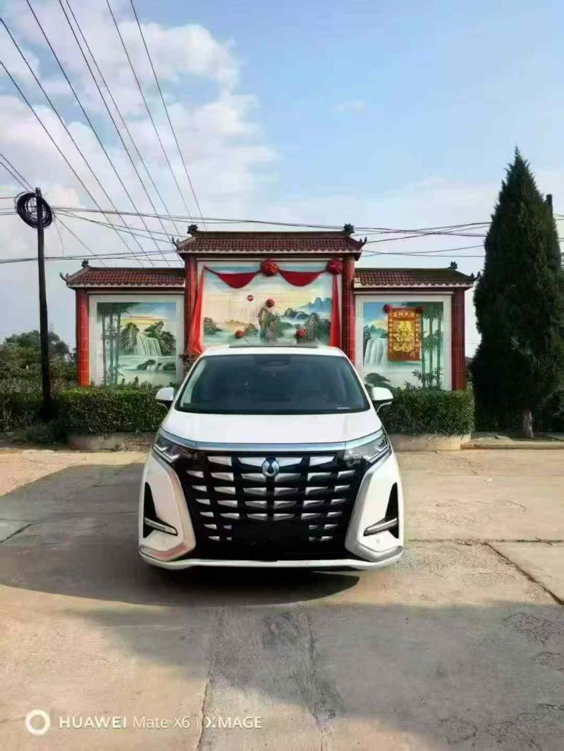 大同24年腾势D91