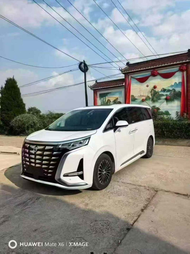 大同24年腾势D93