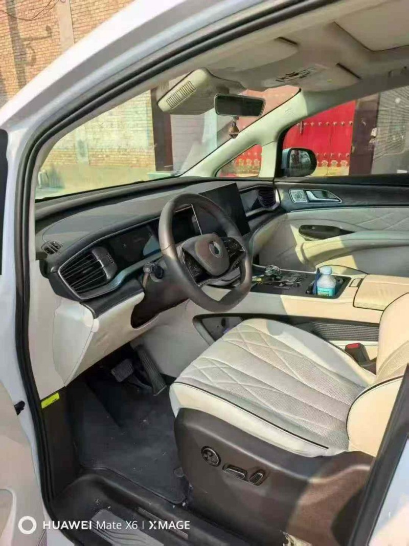 大同24年腾势D96