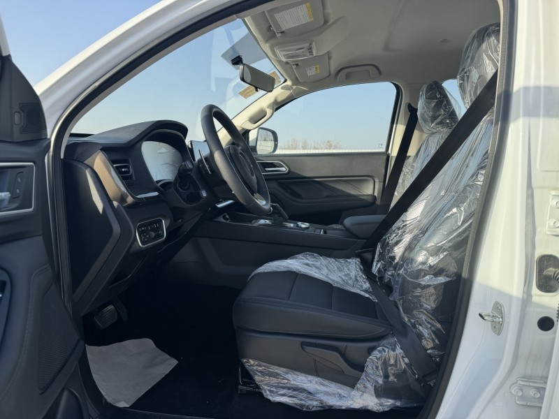 新乡26年长城汽车炮 皮卡4