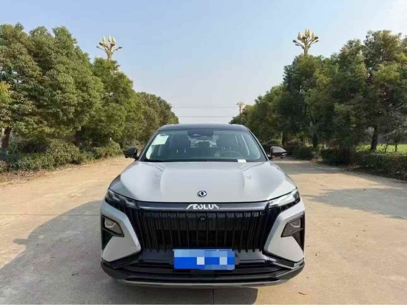 徐州25年东风风神1