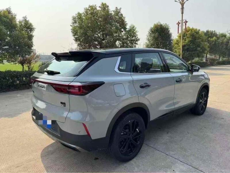 徐州25年东风风神9