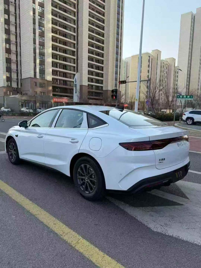 青岛26年比亚迪秦8