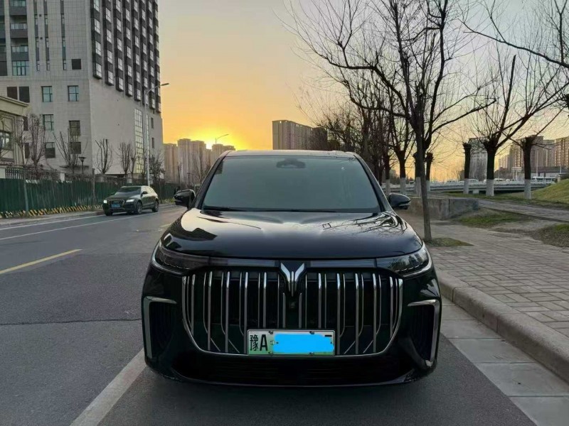 郑州23年岚图汽车梦想家1