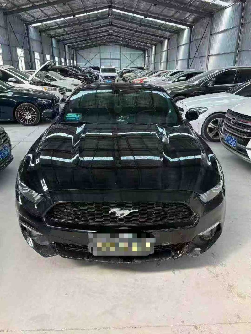 天津17年福特野马1