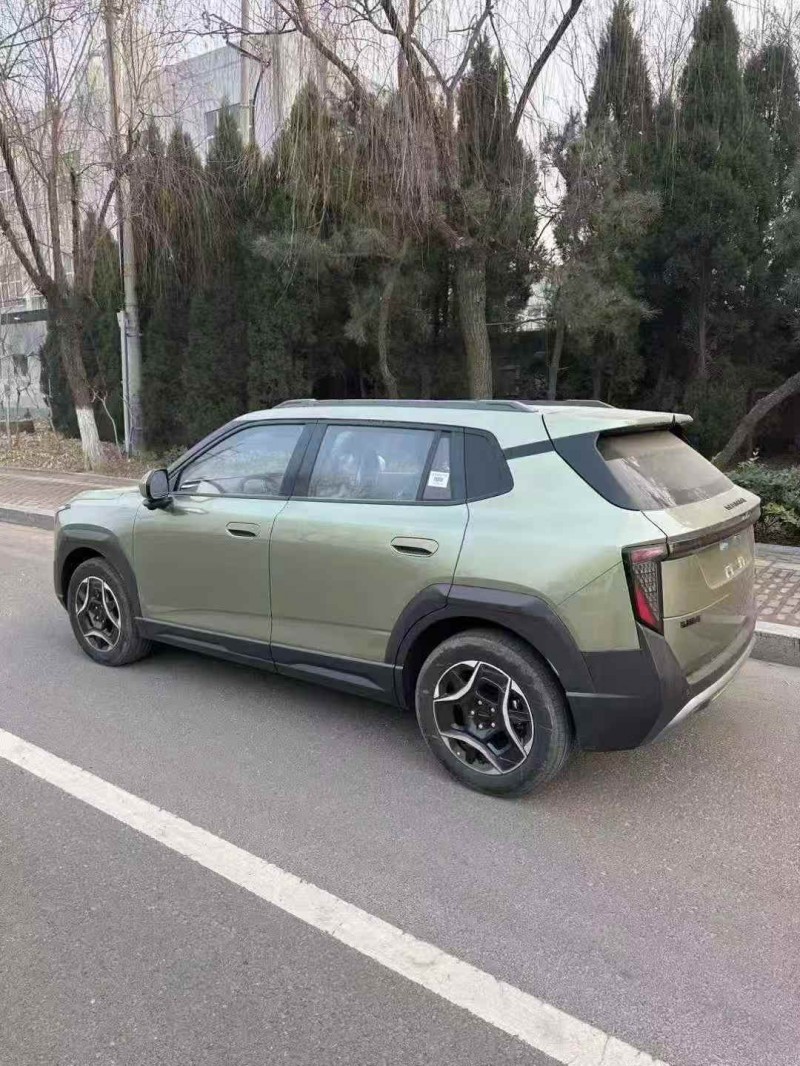 济宁26年东风纳米6