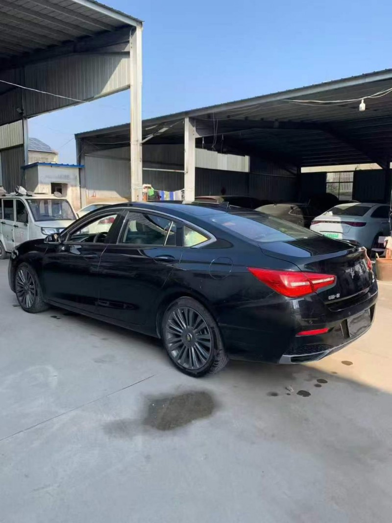 徐州20年紅旗H55