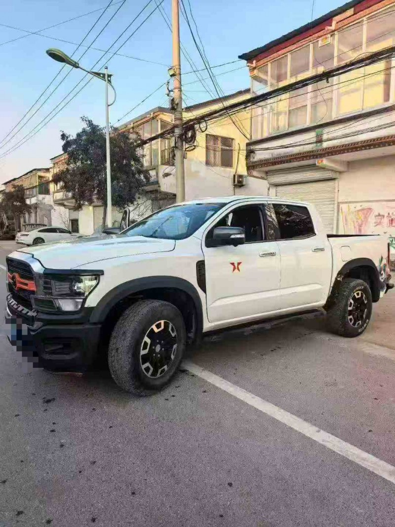 威海23年中兴威狮4