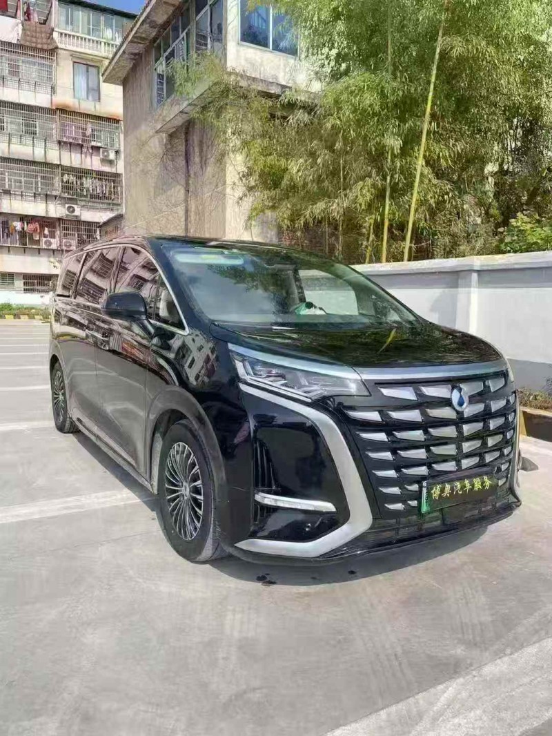 萍乡24年腾势N93