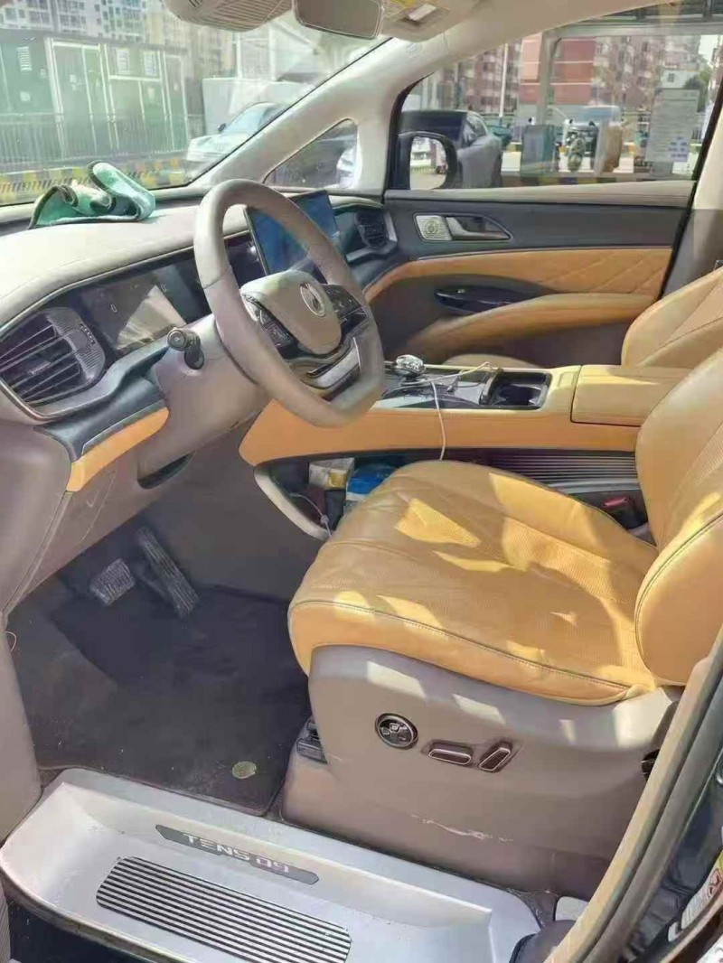 萍乡24年腾势N96