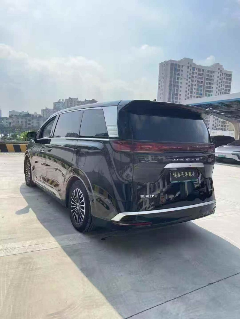 萍乡24年腾势N98