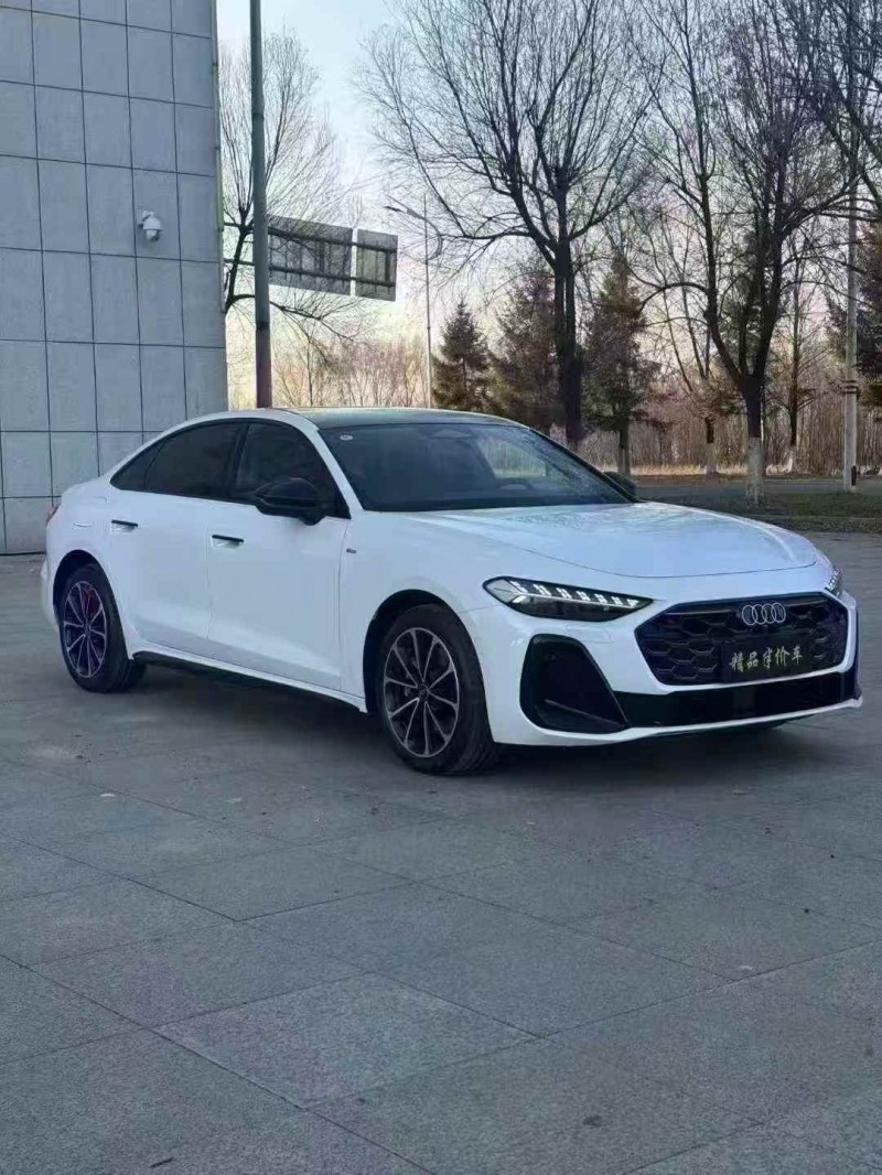 吉林25年奥迪A52