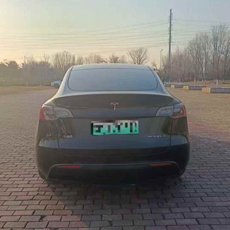 潍坊22年特斯拉MODEL Y9