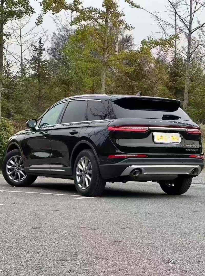 赣州20年林肯冒险家8