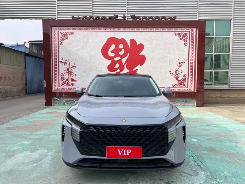 临沂22年启辰大V1