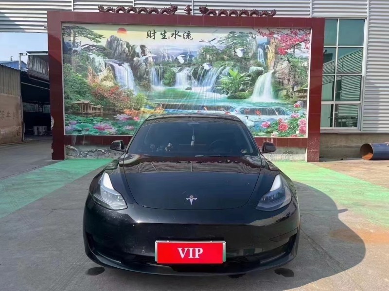 临沂22年特斯拉MODEL 31