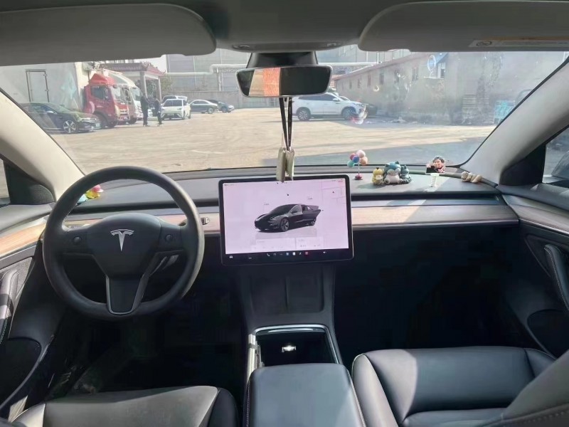临沂22年特斯拉MODEL 36