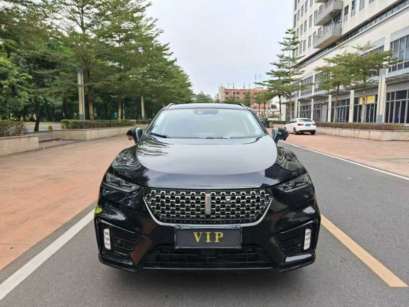 东莞21年长城汽车WEY1