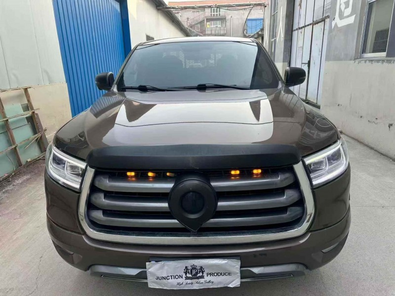 濰坊23年長城汽車炮 皮卡1