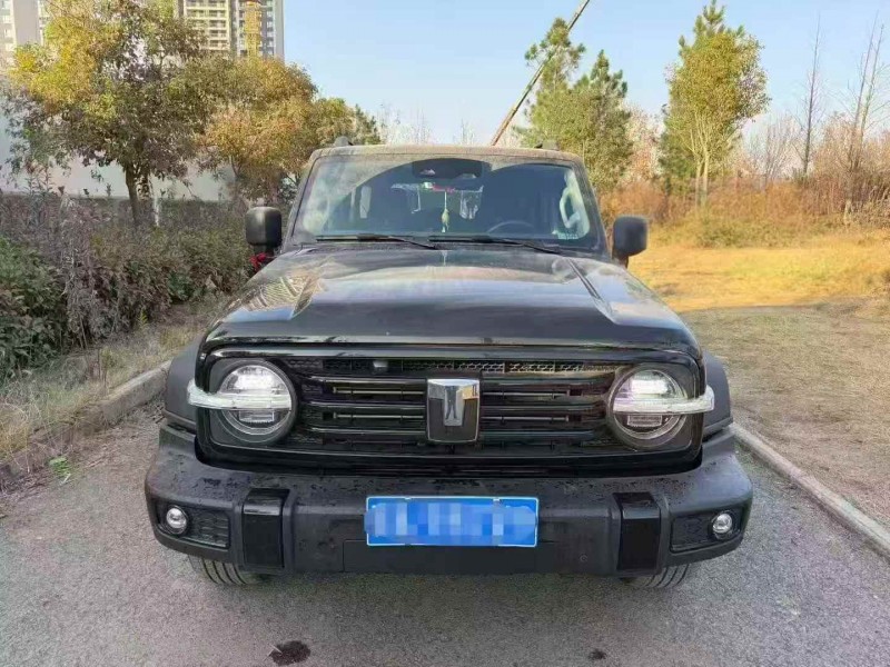 鄂州24年长城汽车坦克1