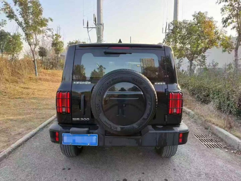 鄂州24年长城汽车坦克7