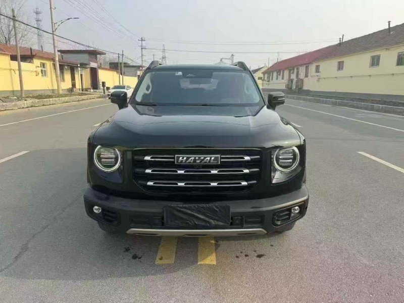 淄博23年哈弗大狗1