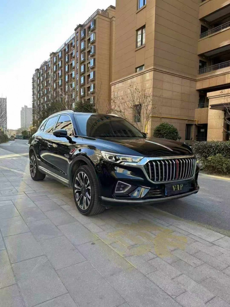 徐州21年紅旗HS53