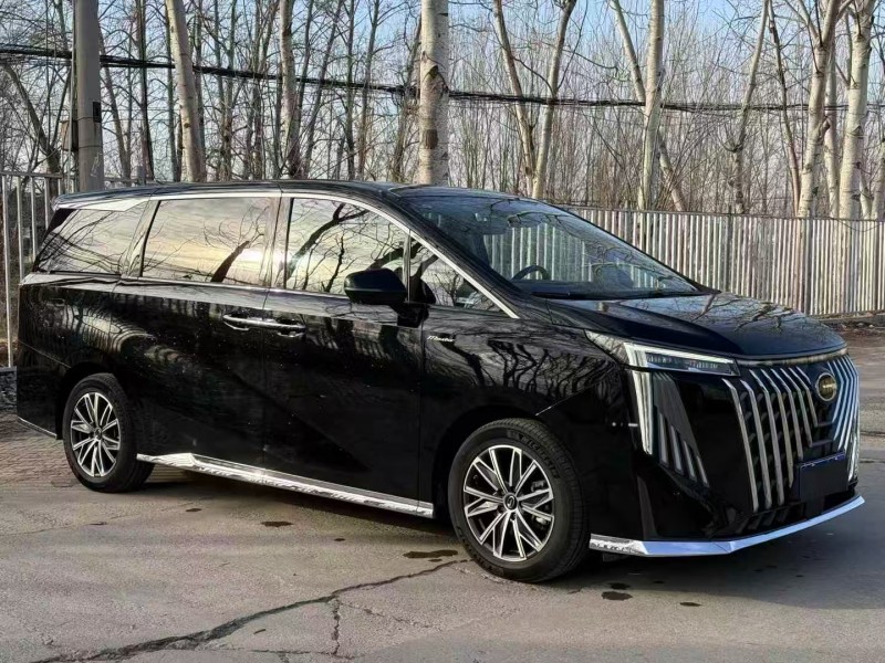 廊坊25年傳祺M8/GM84