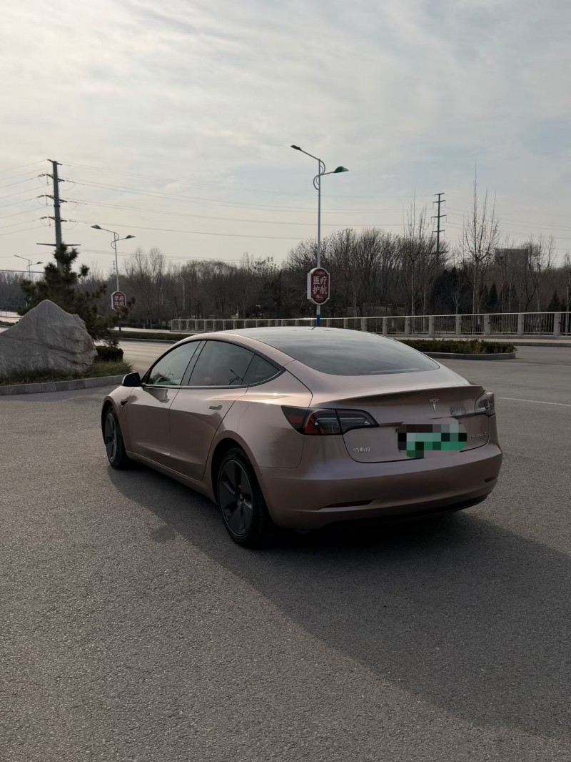 聊城23年特斯拉MODEL 38