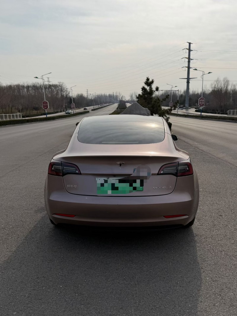 聊城23年特斯拉MODEL 39