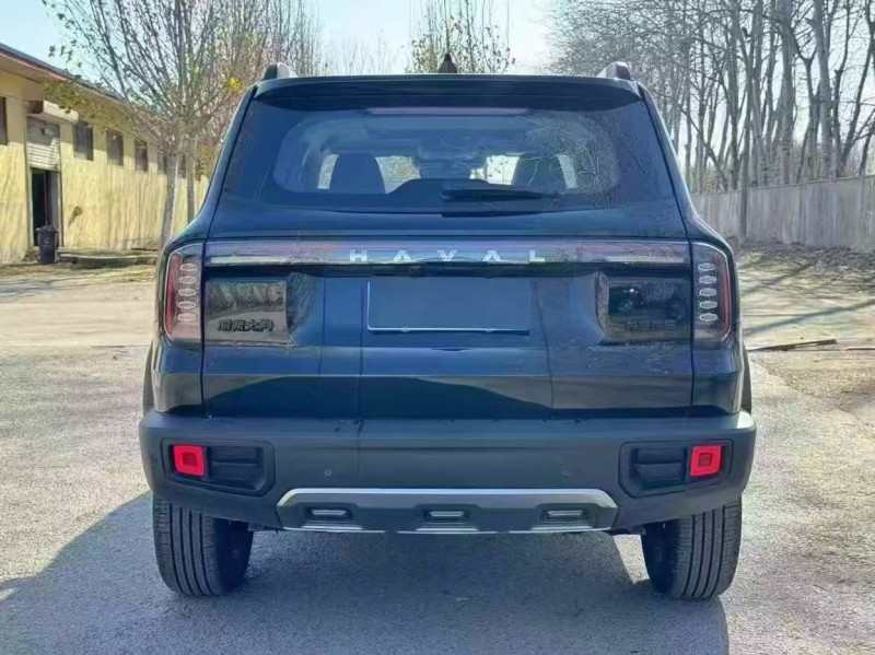 廊坊25年哈弗大狗9