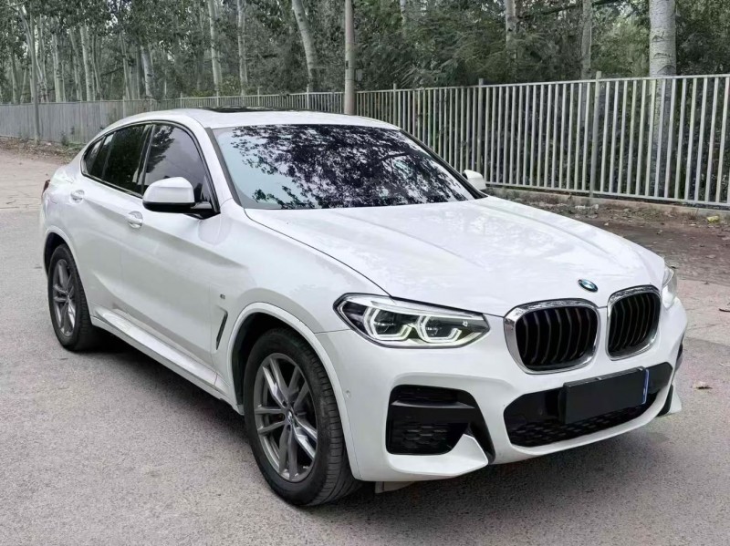 廊坊20年宝马X42