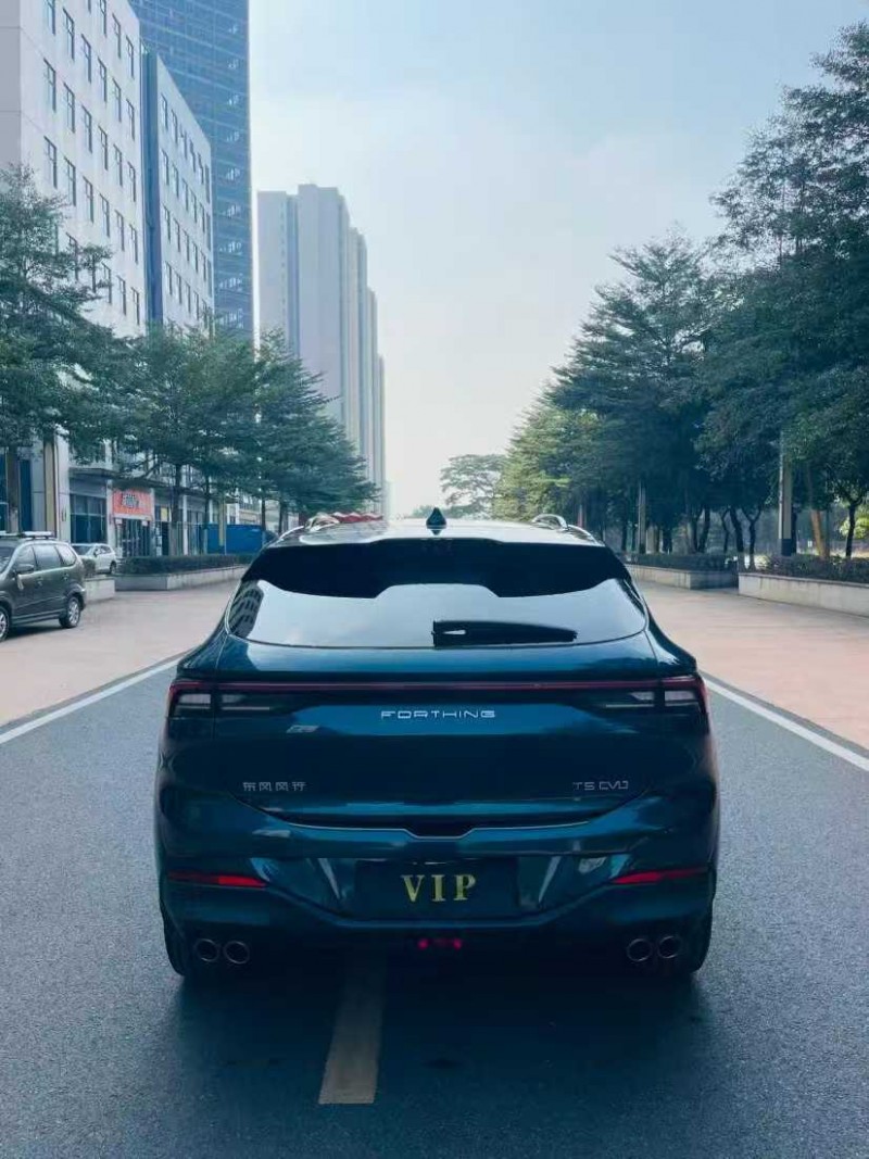 东莞21年东风风行8