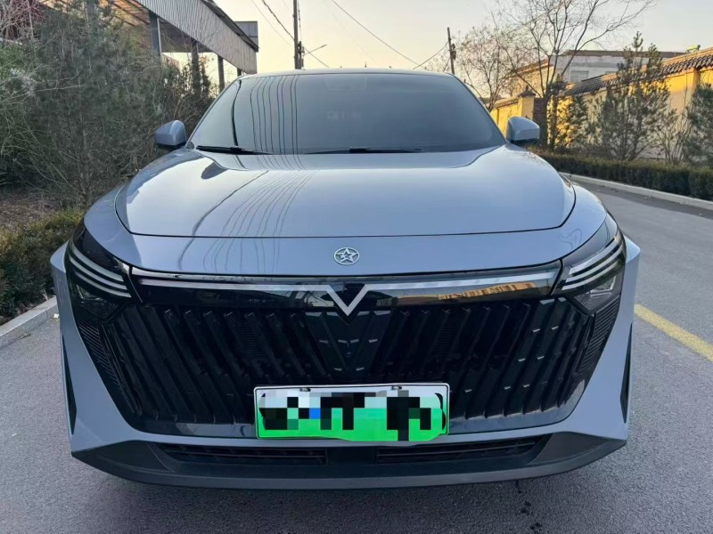 淄博24年启辰大V1