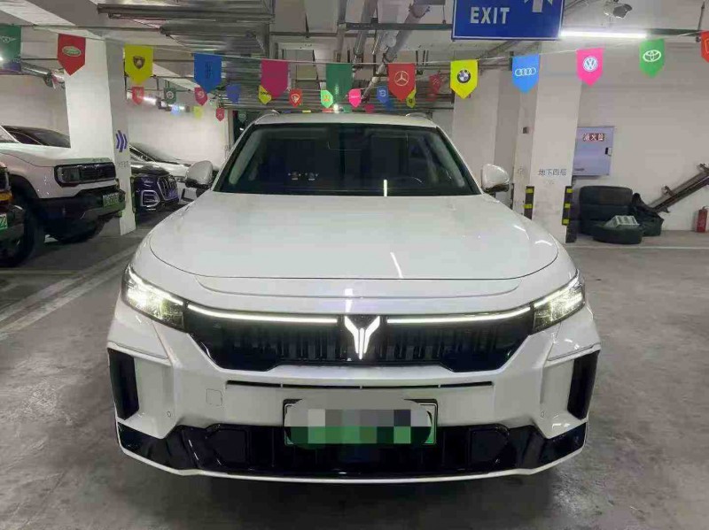 成都23年岚图汽车FREE1