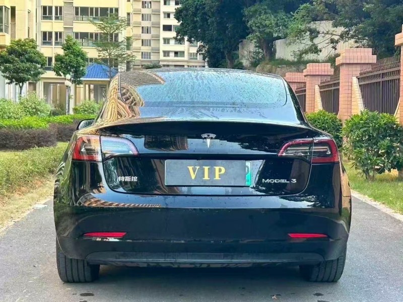 东莞23年特斯拉MODEL 39