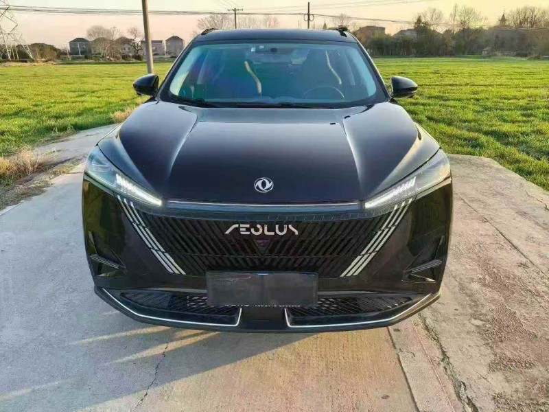 衢州24年东风风神1