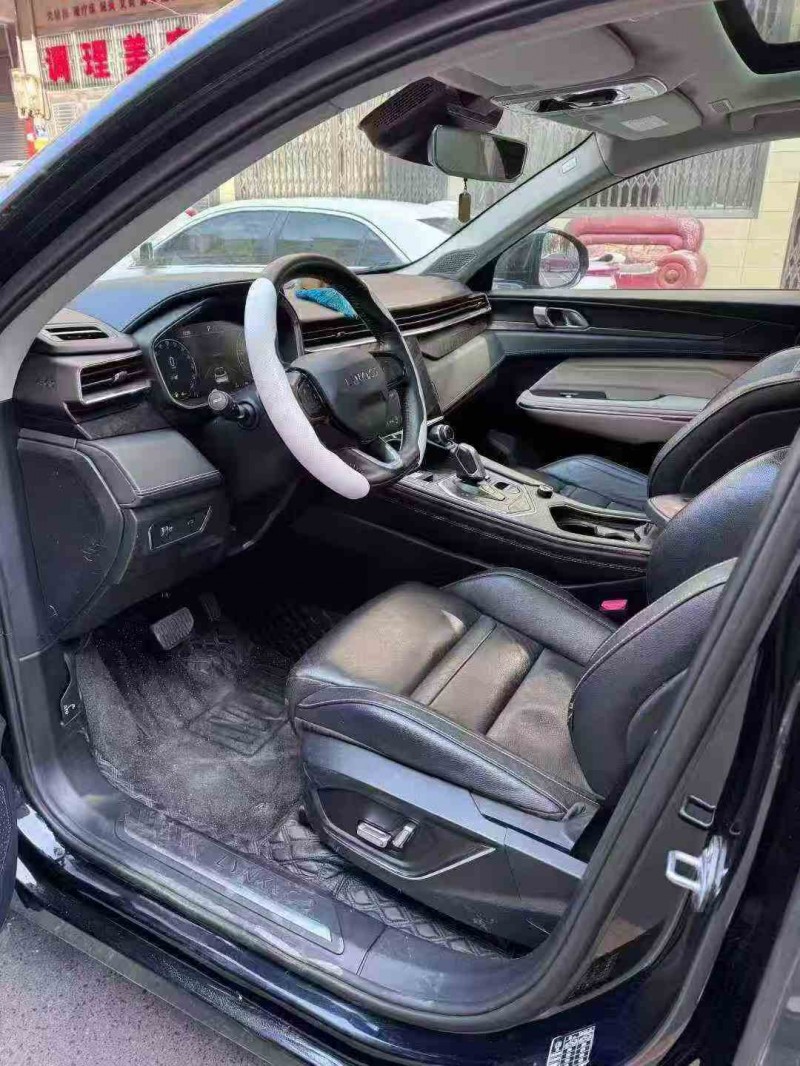 张家界20年领克054